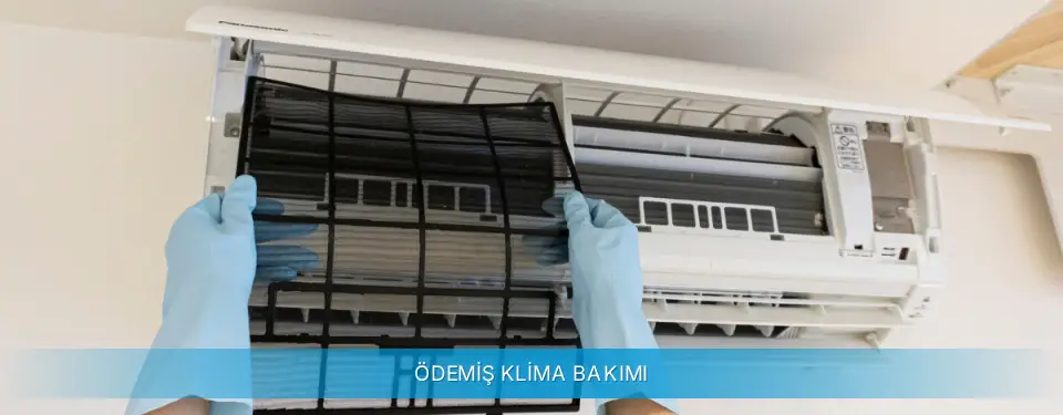Ödemiş İlçemi Gree Klima Bakımı
