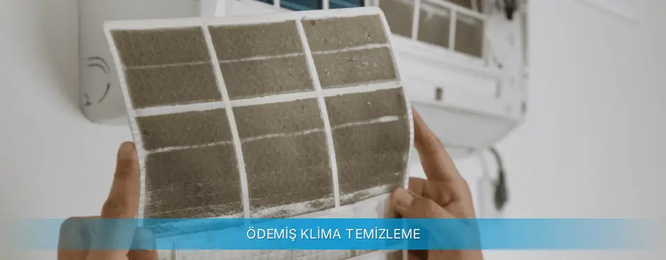 Ödemiş İlçemi Gree Klima Temizleme